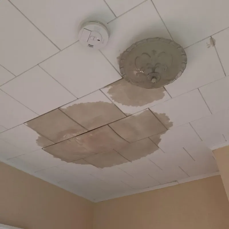 Ceiling Water Damage Repair in Merton, WI