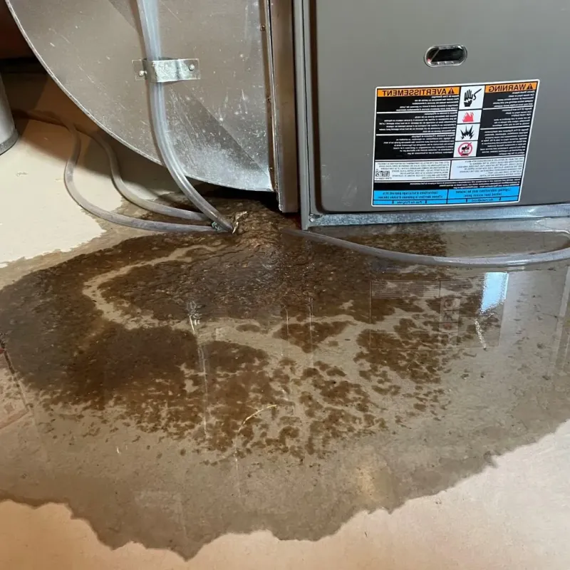 Pipe Burst and Leak Restoration in Merton, WI
